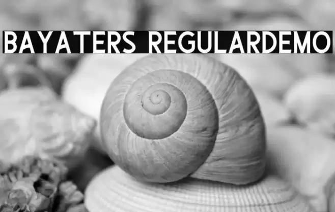 Bayaters RegularDemo Font examples