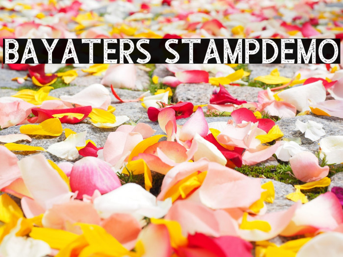 Bayaters StampDemo Example 1