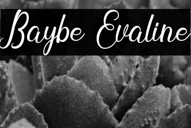 Baybe Evaline Font examples