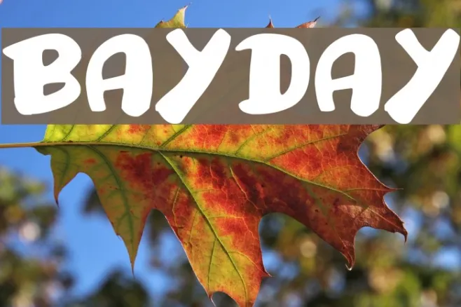 Bayday Example 3