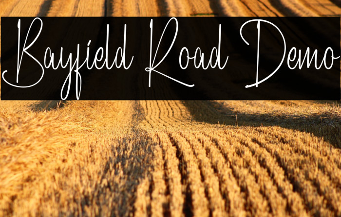 Bayfield Road Demo Example 2