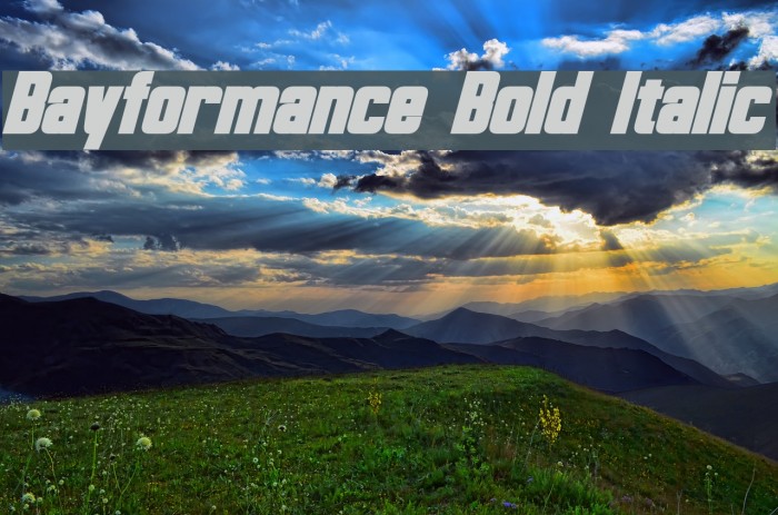 Bayformance Bold Italic Font examples