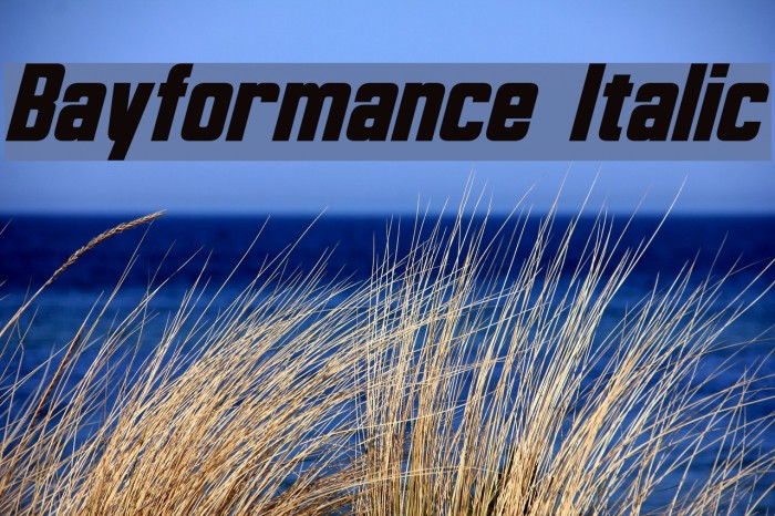 Bayformance Italic Font examples