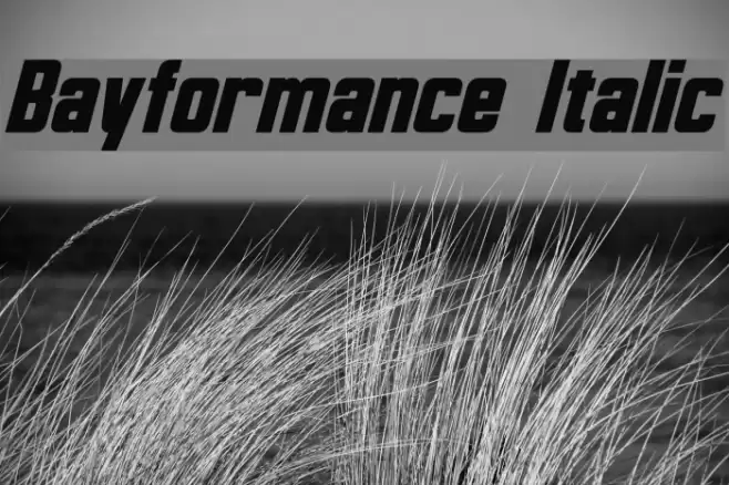 Bayformance Italic फ़ॉन्ट examples