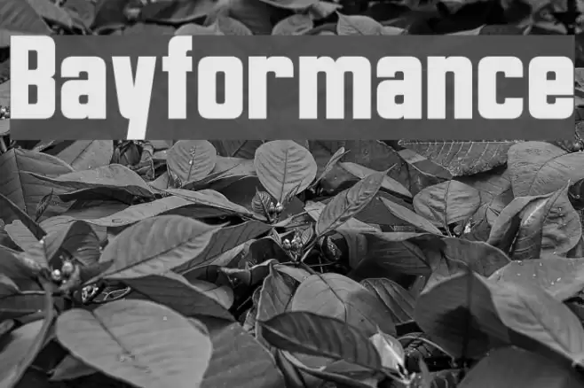 Bayformance Font examples
