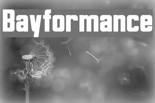 Bayformance Font examples
