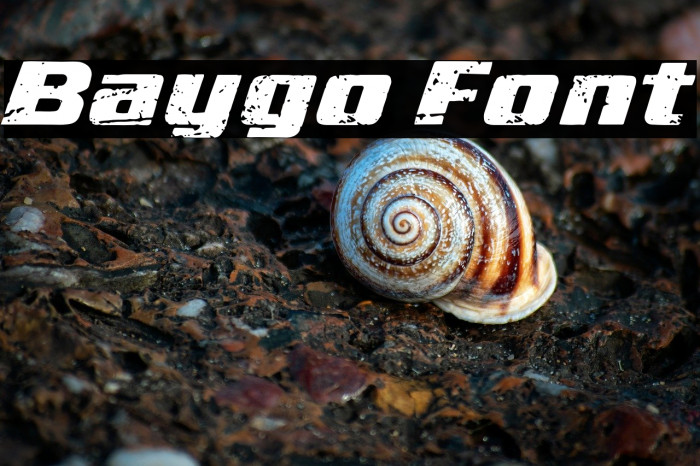 Baygo Example 3