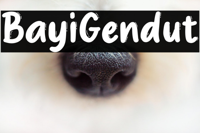 Bayi Gendut Example 2