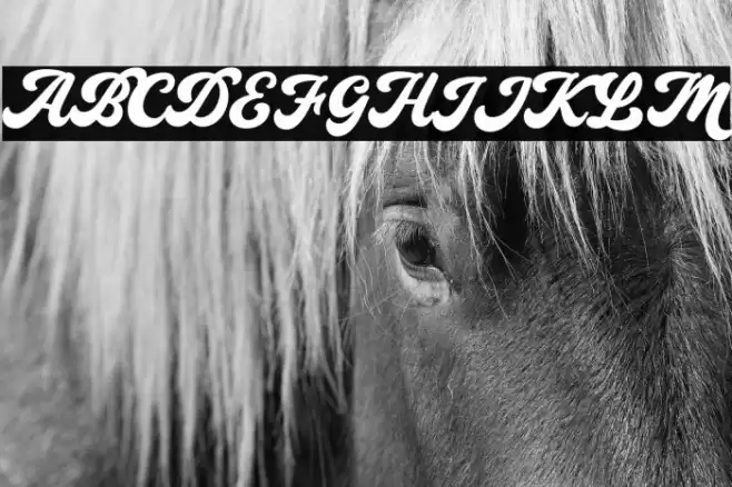 Bayland Font examples