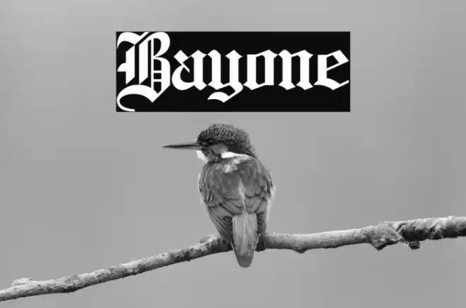 Bayone Caratteri examples