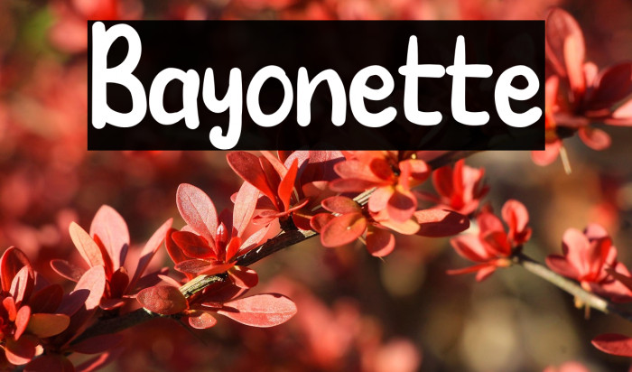 Bayonette Example 1