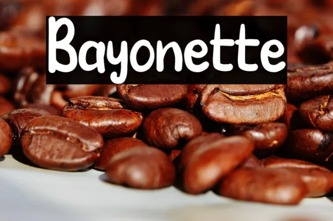 Bayonette Example 2