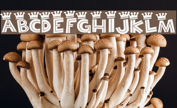 Bayou Cowboy Font examples