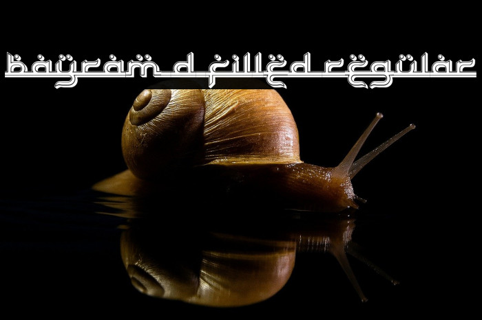 Bayram 3D Filled Regular Example 2