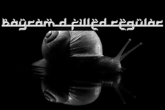 Bayram 3D Filled Regular Example 2