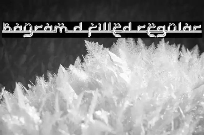 Bayram 3D Filled Regular Example 3