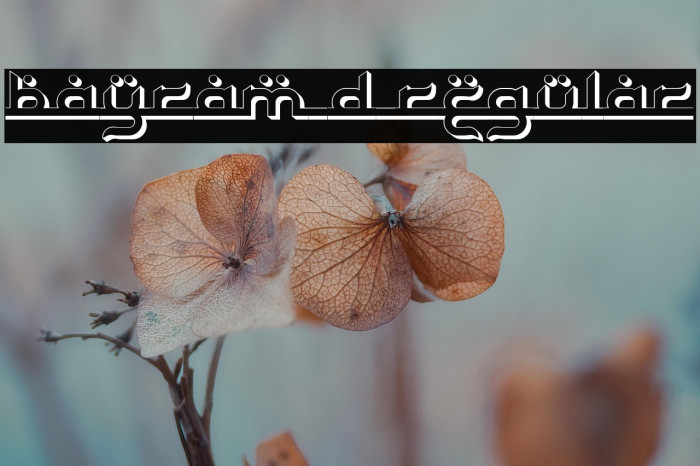 Bayram 3D Regular Example 2