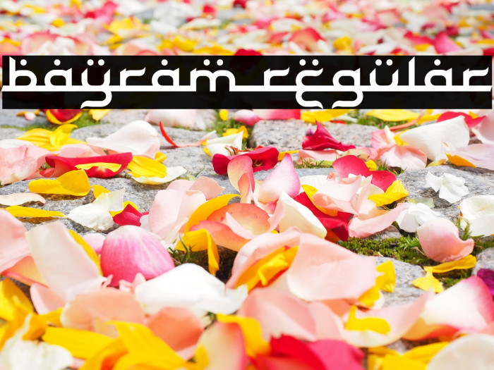 Bayram Regular Example 2