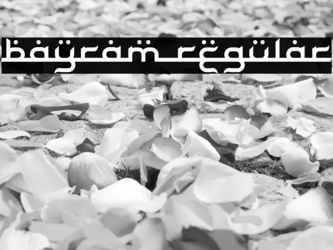 Bayram Regular Font examples