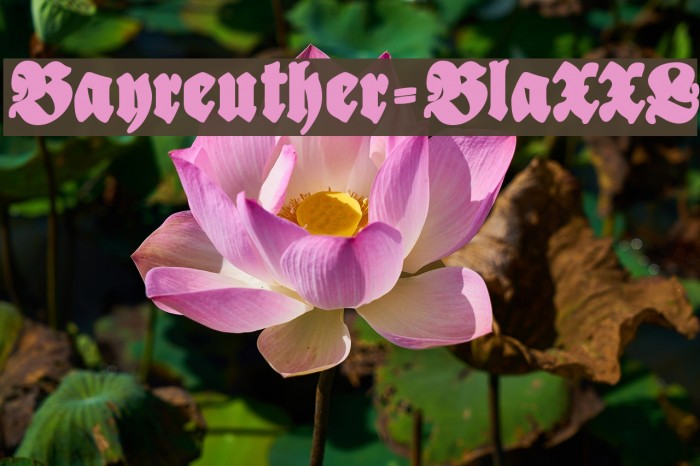 Bayreuther-BlaXXL Font examples
