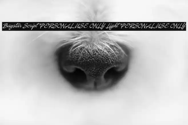 Baystar Script PERSONAL USE ONLY Light PERSONAL USE ONLY Schriftart examples