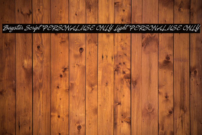 Baystar Script PERSONAL USE ONLY Light PERSONAL USE ONLY Example 2