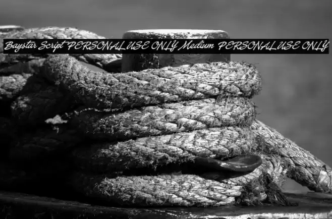 Baystar Script PERSONAL USE ONLY Medium PERSONAL USE ONLY Schriftart examples