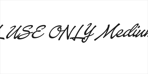 Baystar Script PERSONAL USE ONLY Medium PERSONAL USE ONLY Logo