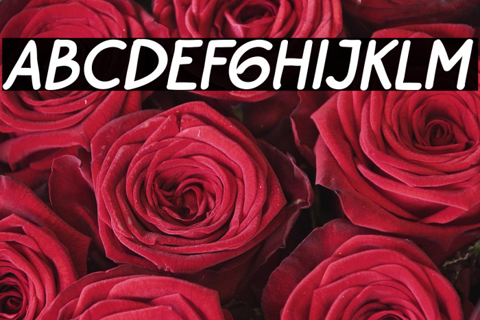 BayuPrahara2Bold-BoldItalic Example 1