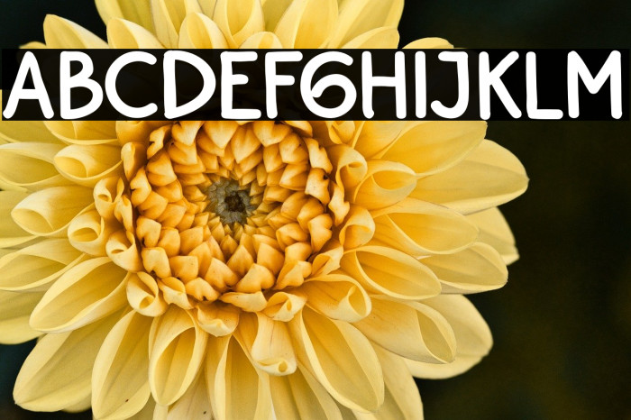 BayuPrahara2Bold-Bold Example 1