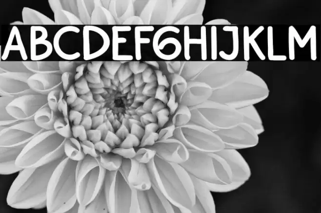 BayuPrahara2Bold-Bold Font examples