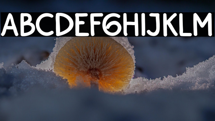 BayuPrahara2Bold-Bold Example 2