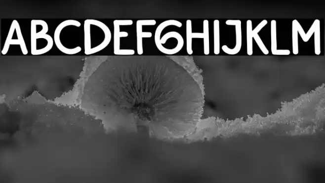 BayuPrahara2Bold-Bold Font examples