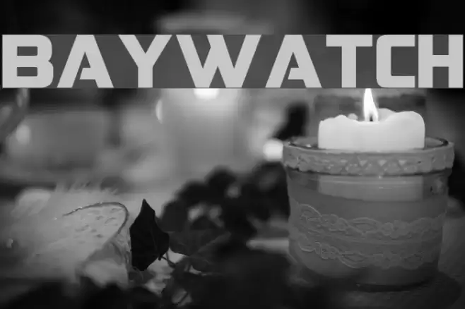 Baywatch Font examples