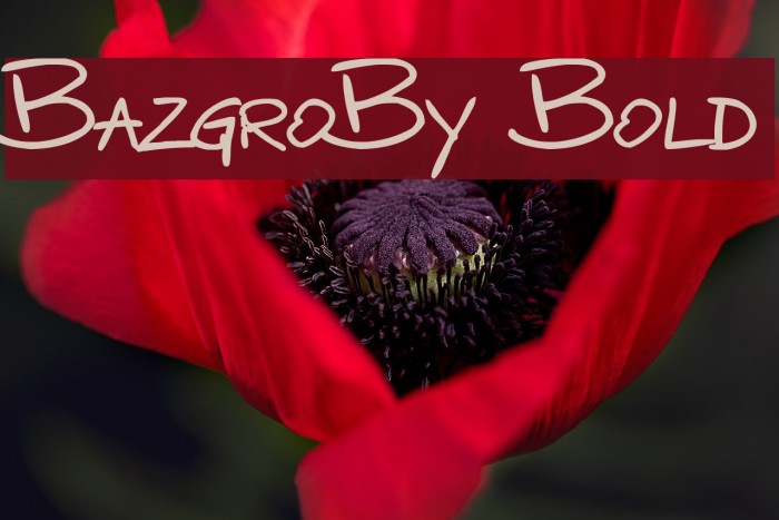 BazgroBy Bold Font examples
