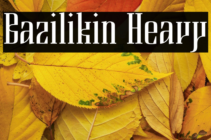 Bazilikin Heavy Example 2