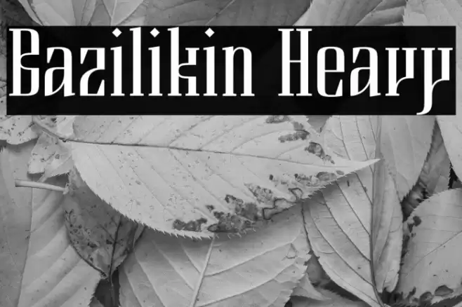 Bazilikin Heavy Font examples