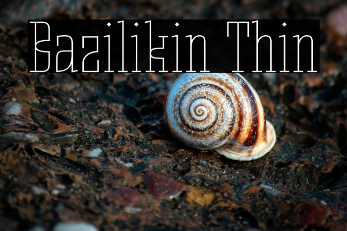 Bazilikin Thin Example 2