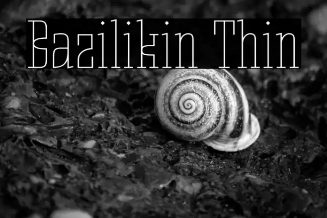 Bazilikin Thin Font examples