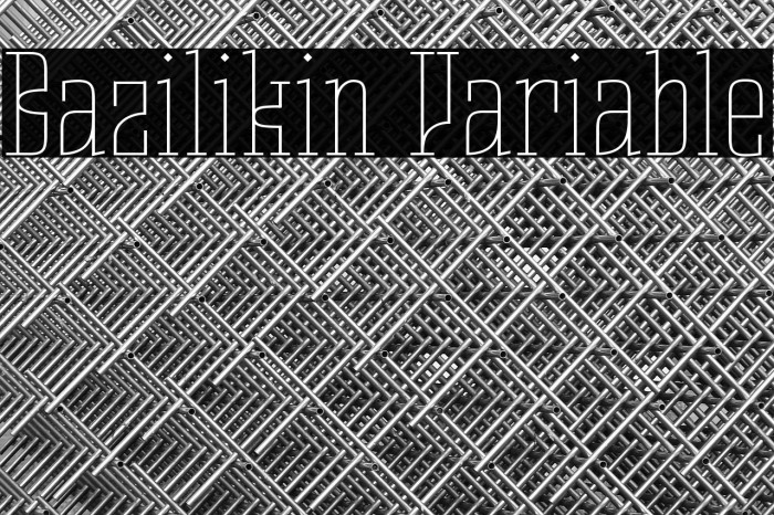 Bazilikin Variable Example 2