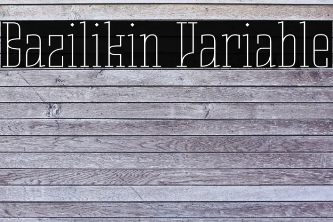 Bazilikin Variable Example 3