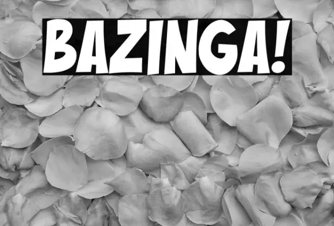 Bazinga! Example 1