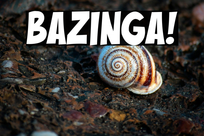 Bazinga! Example 2