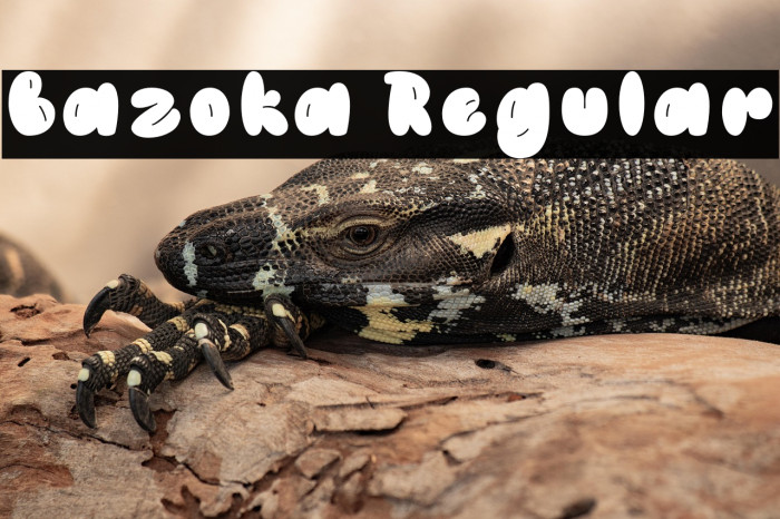 Bazoka Regular Example 3