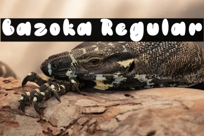 Bazoka Regular Example 3