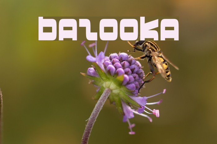Bazooka Font examples
