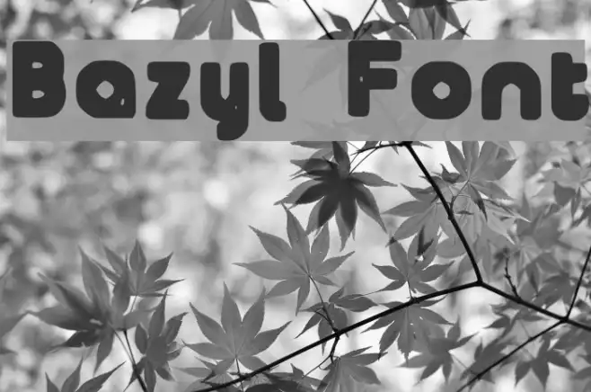 Bazyl Example 1