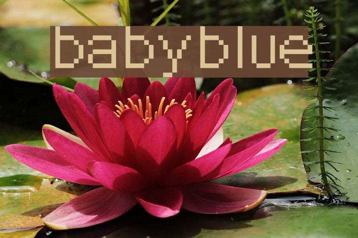 babyblue Example 3