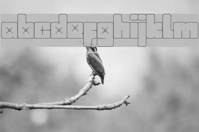 babybox Font examples