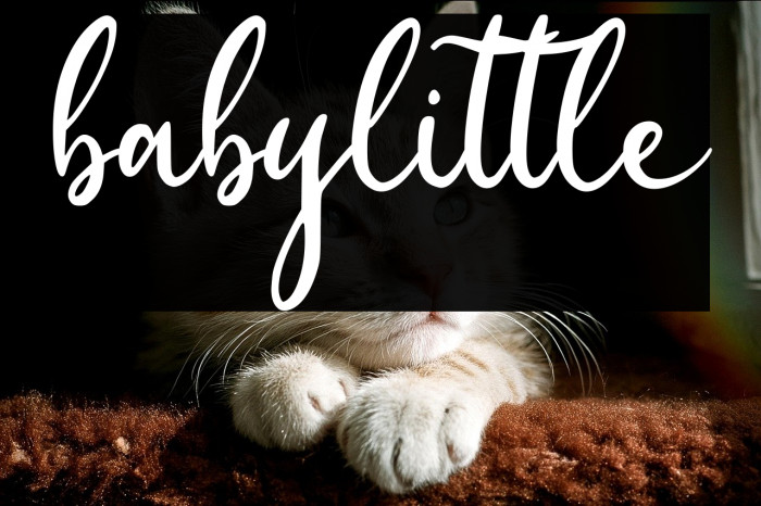 babylittle Example 2